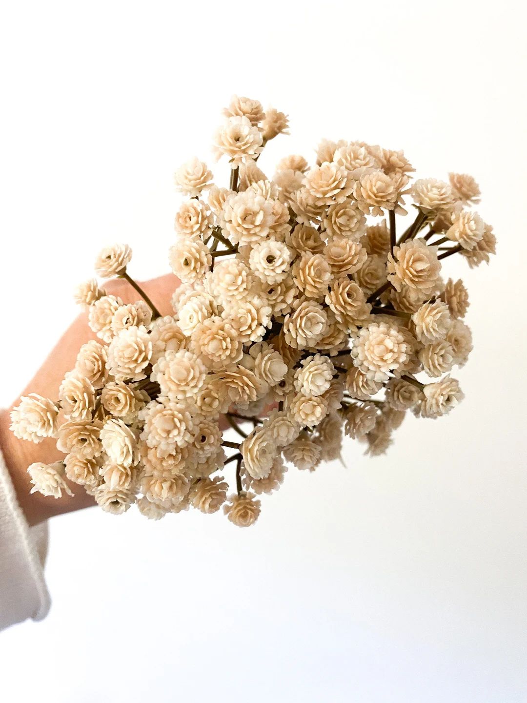 3 Bunches Khaki Cream Gypsophila Filler, Baby's Breath Filler Wreath Filler, Crown Filler, Arrang... | Etsy (US)