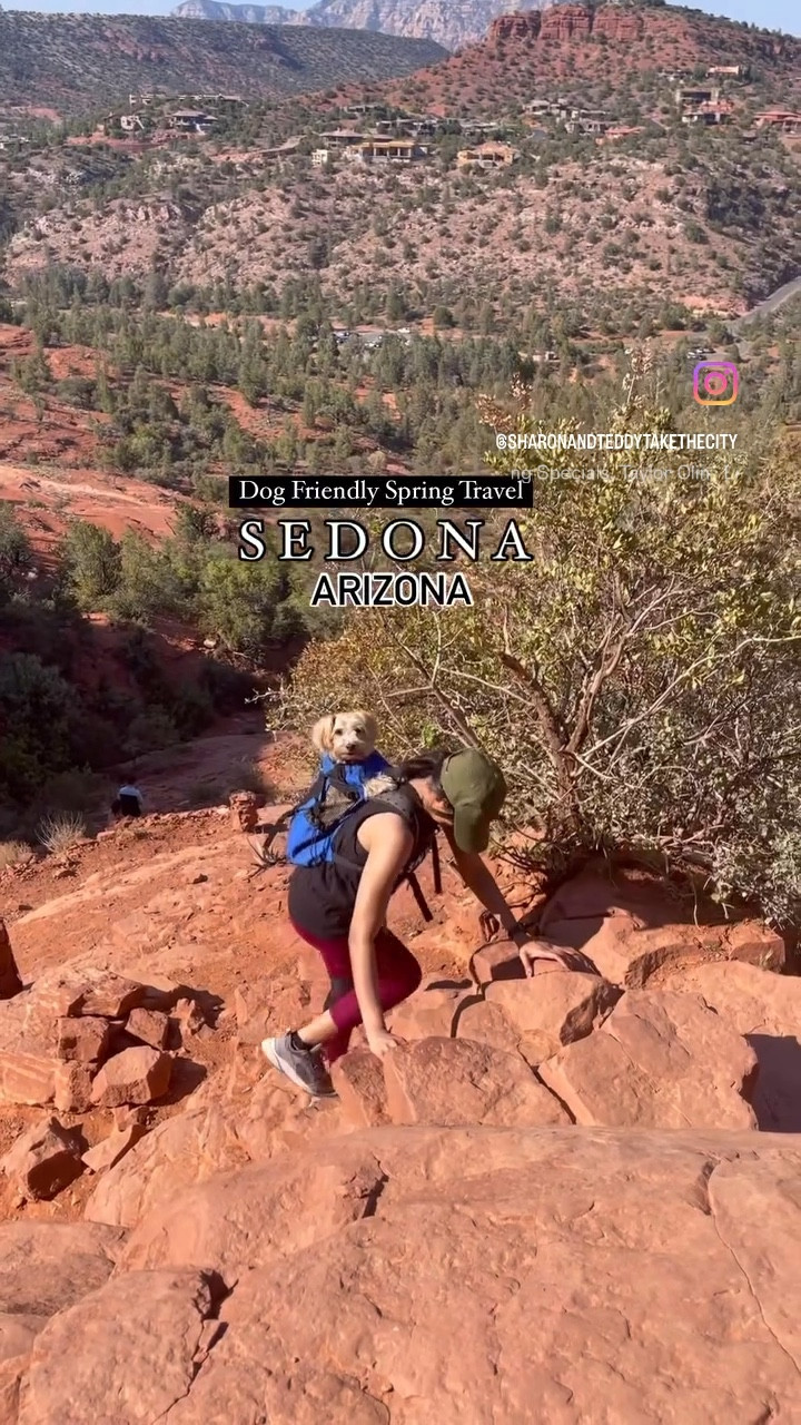 Must have travel items when traveling with a small dog to Sedona, Arizona: K9 sport sac backpack, Lululemon everywhere belt bag. 

#LTKTravel #LTKPets