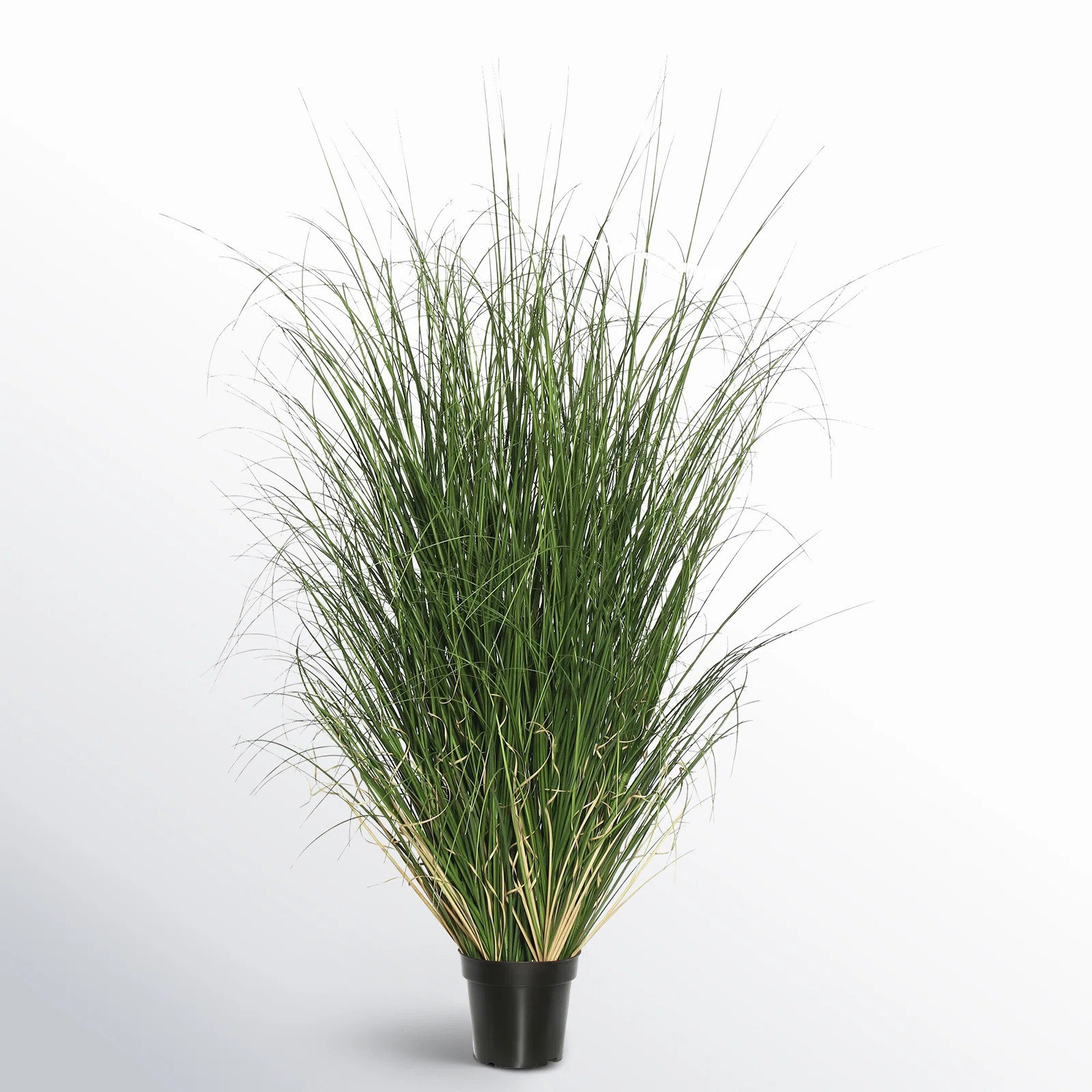 Sand & Stable™ Kellan PVC Artificial Potted Green Curled Grass & Reviews | Wayfair | Wayfair North America