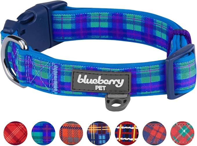 Blueberry Pet 7 Patterns Soft & Comfy Scottish Plaid Neoprene Padded Dog Collars | Amazon (US)
