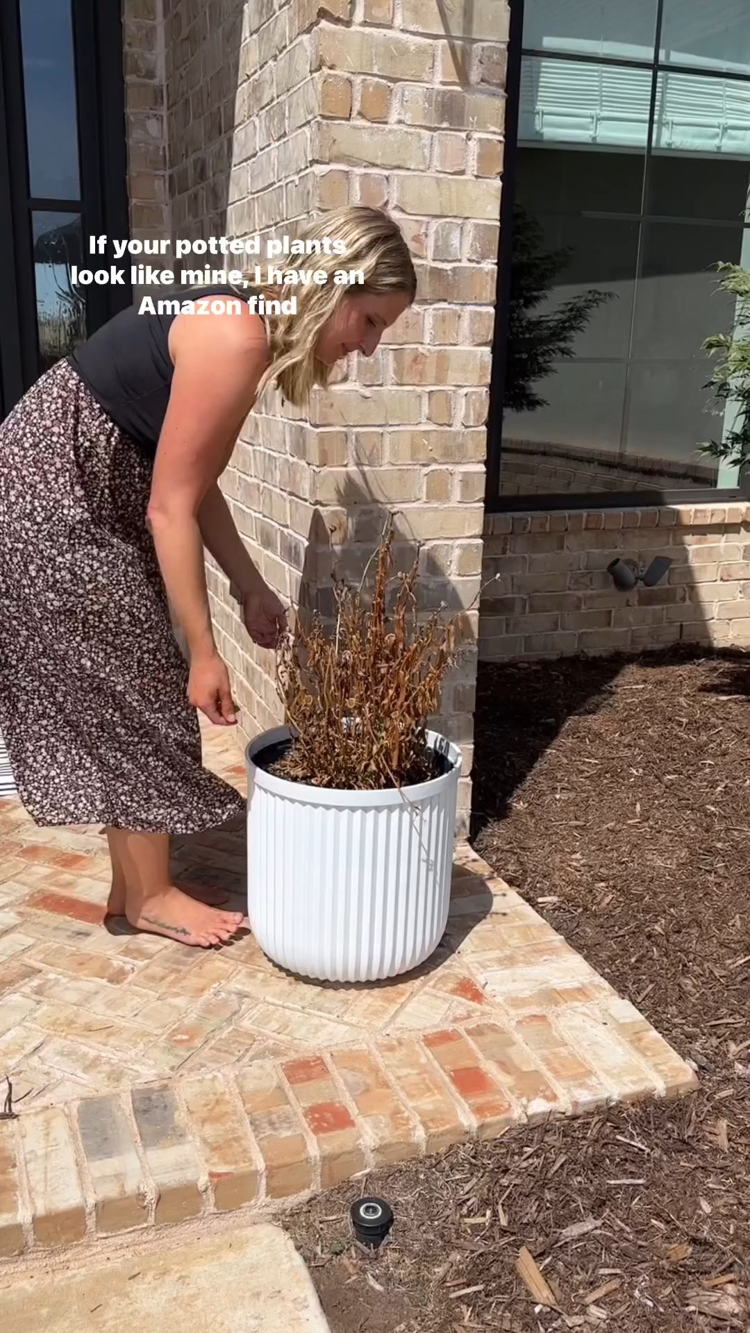 Don't they look so good?!?!
Maybe I'll trade out the orange for some pink! What do you think?


#LTKhome #LTKsalealert #LTKSeasonal