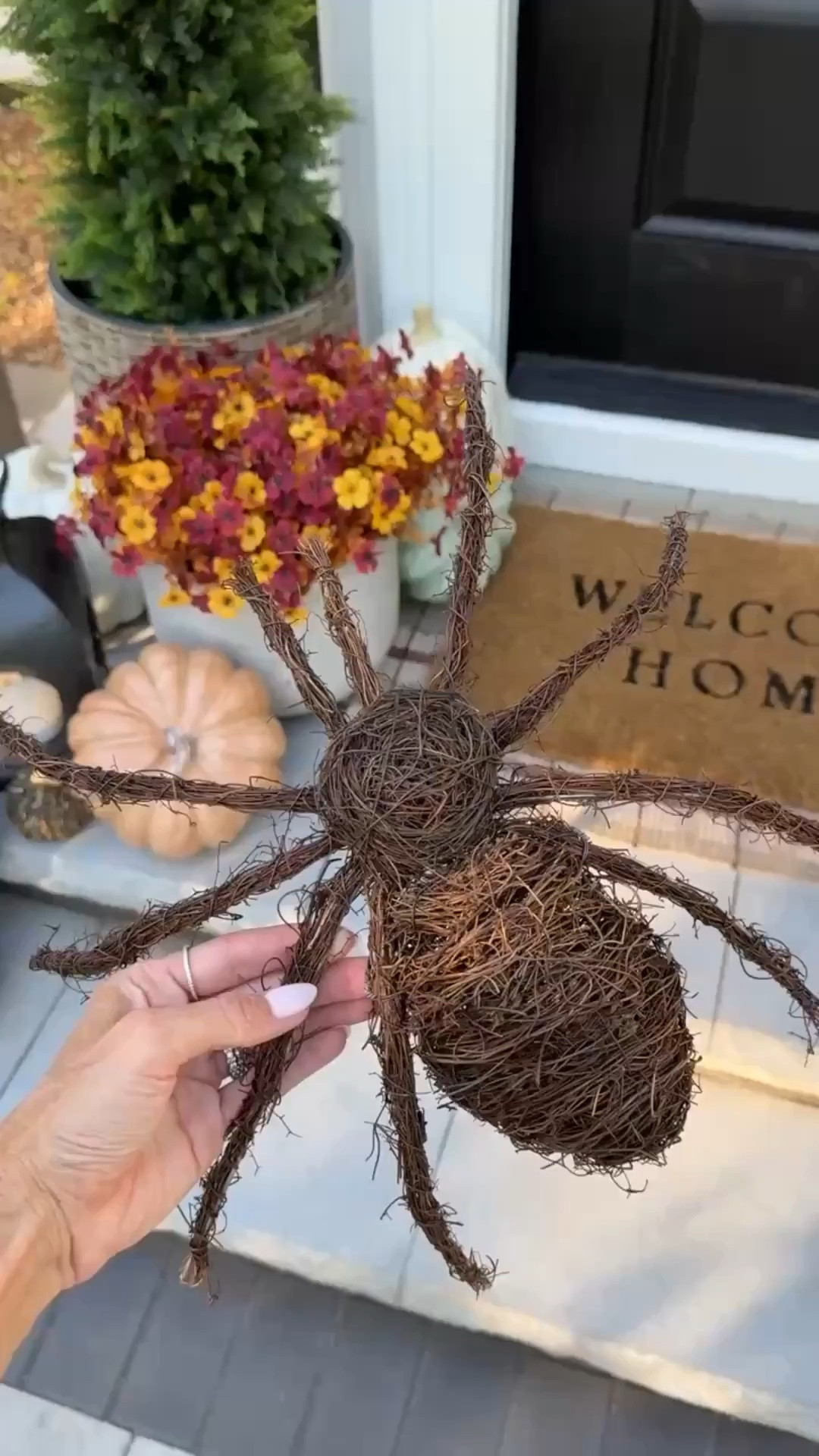 Spiders aren’t so scary when they’re wicker! 🤪 These woven spiders are the perfect Halloween accent. Style them indoors or outdoors for a scary yet classy look. Amazon find and favorite!!

#LTKHome #LTKSeasonal