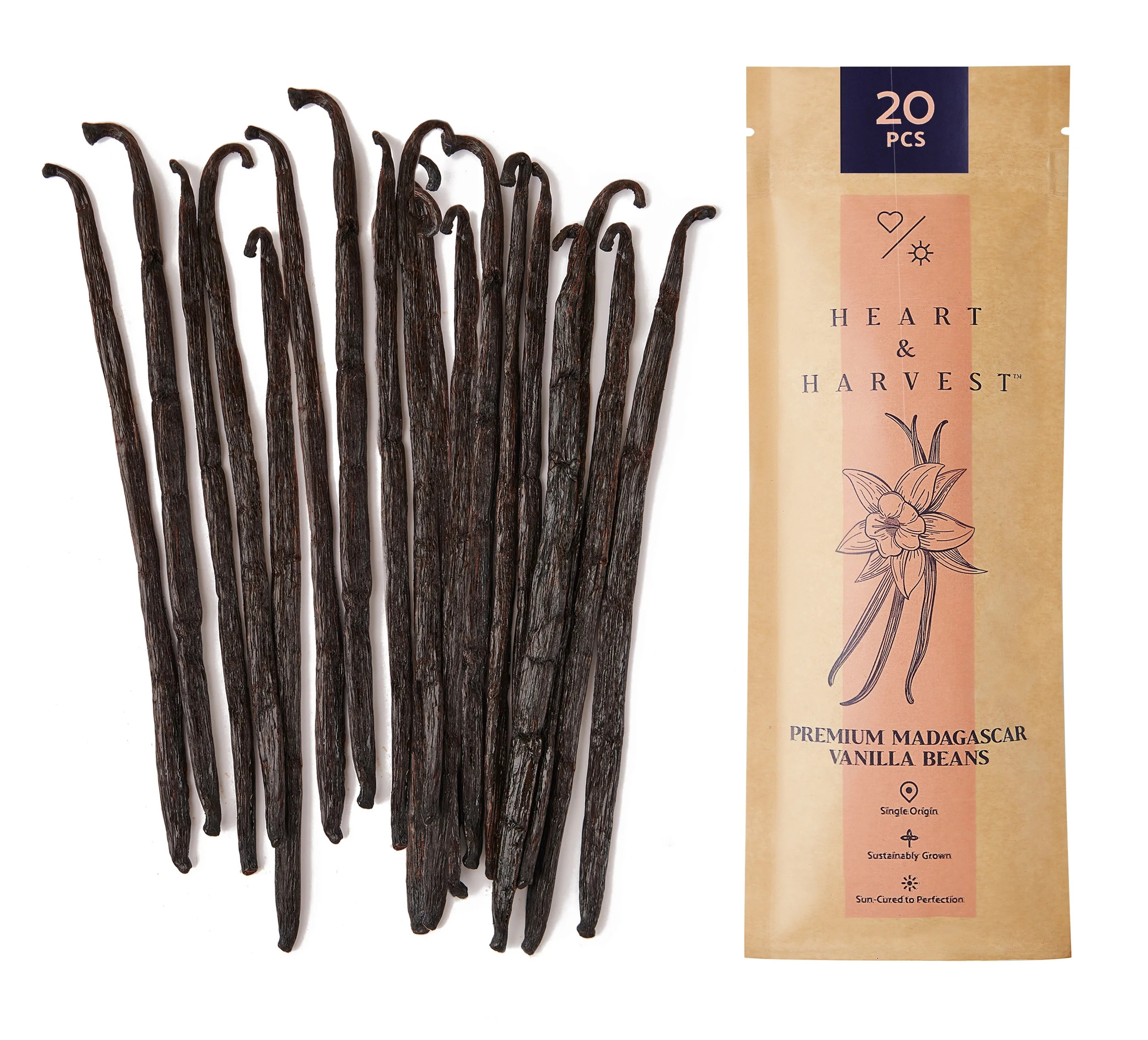 Heart & Harvest Madagascar Vanilla Beans Extract Pods Grade A 20 Beans | Walmart (US)