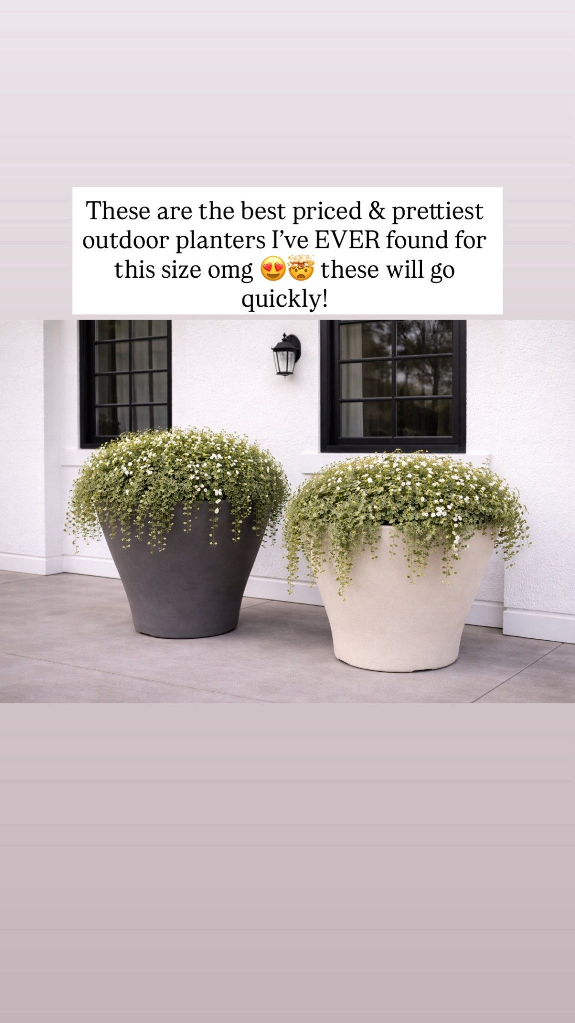 These are the best priced outdoor planters I’ve EVER found for this size omg 😍🤯 these will go quickly!

#LTKHome #LTKSaleAlert #LTKSeasonal