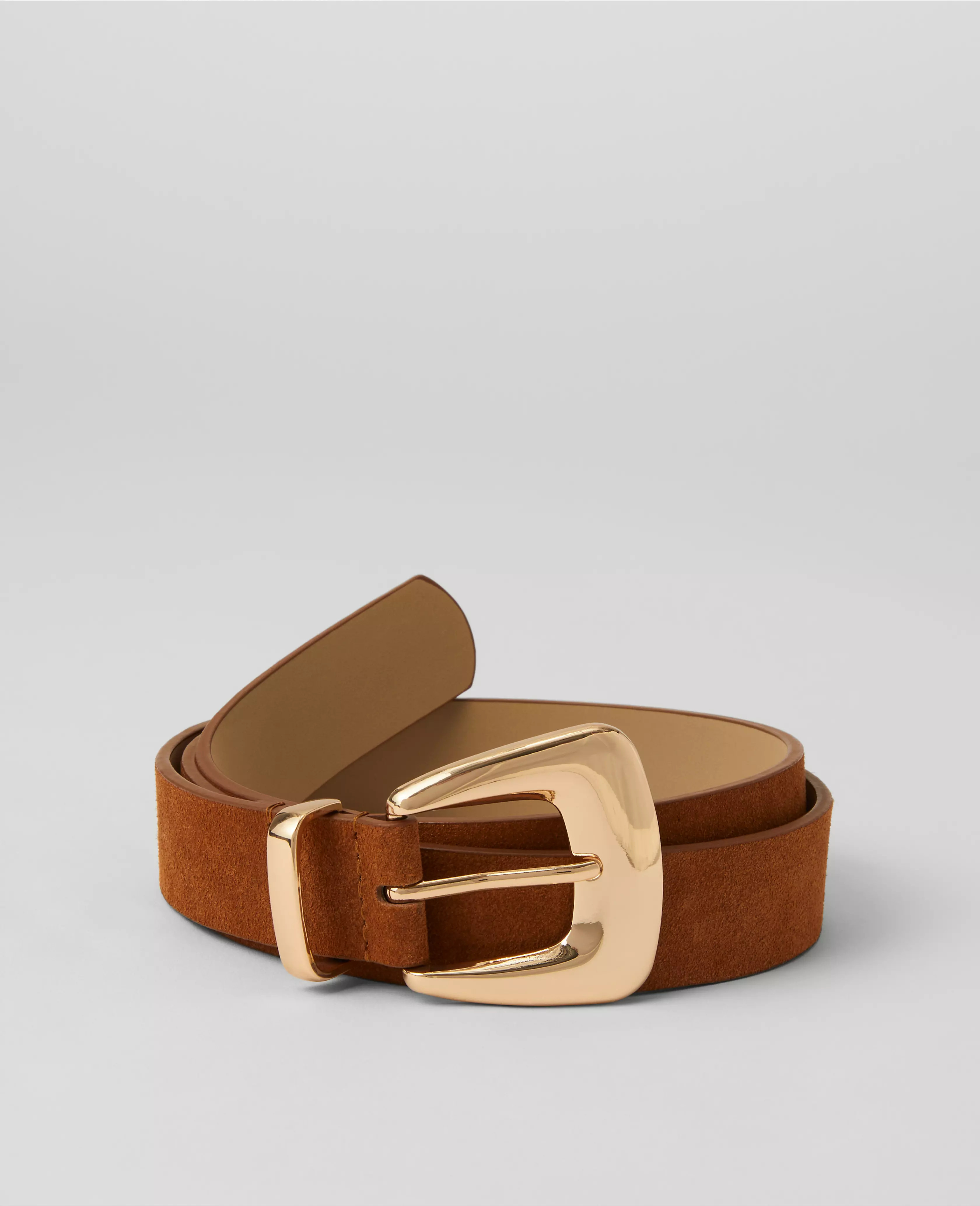 Chunky Buckle Suede Belt | Ann Taylor