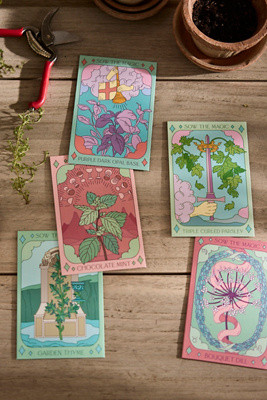Sow the Magic Herb Seed Collection | Terrain