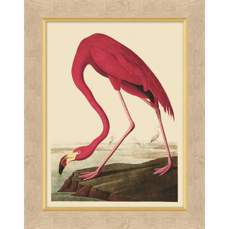 Audubon Flamingo | One Kings Lane