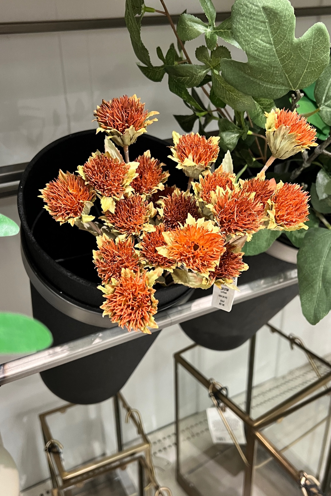 18" Faux Cornflower Stem - Hearth & Hand™ with Magnolia

#LTKFind #LTKhome #LTKSeasonal