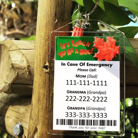 Fastpass Emergency Contact Tags | Etsy | Etsy (US)