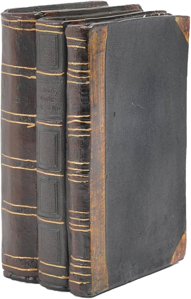 Decorative Books Coffee Table Books Decor - Resin Retro Classical Fake Decorative Books Set of 3 ... | Amazon (US)