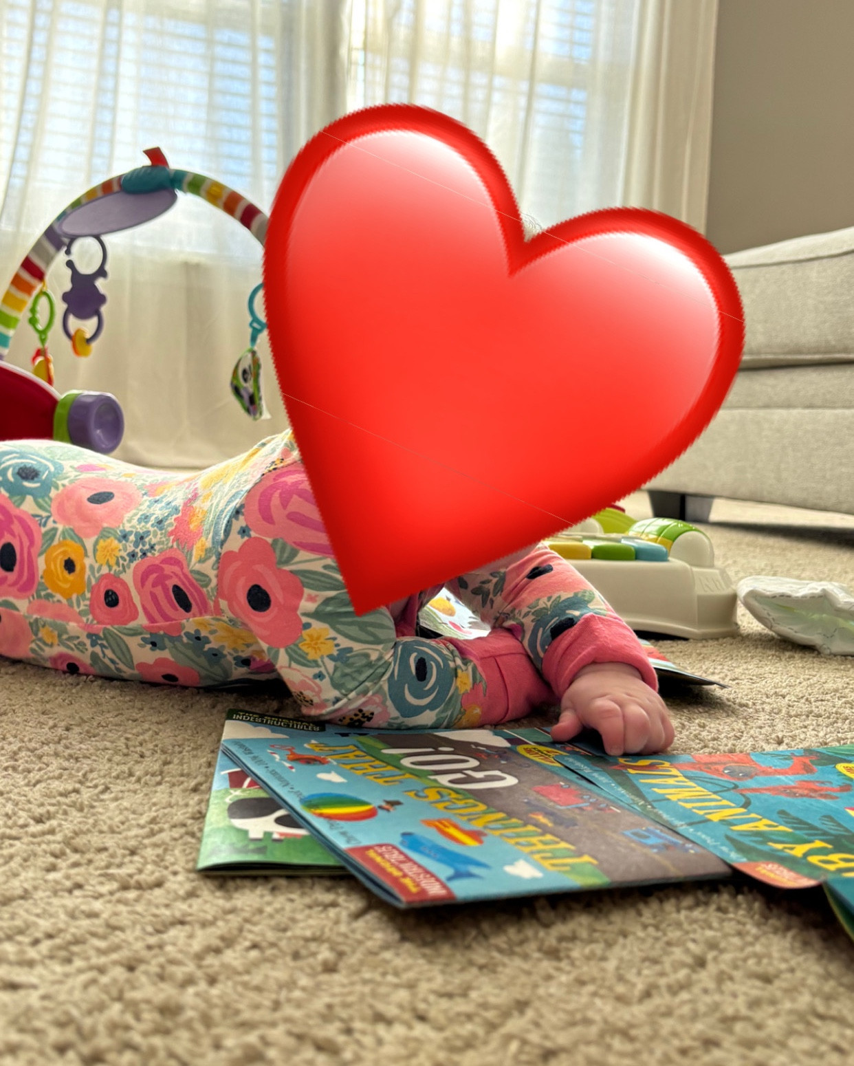 We love to read, but my daughter constantly wants to eat the pages or pull at them. These books are perfect for that. They are chew proof, rip proof, non toxic, and 100% washable! 

#LTKKids #LTKBaby #LTKBump