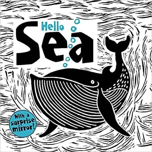 Hello Sea (Happy Fox Books) Baby's First Book, with High-Contrast Ocean Animals like an Octopus, ... | Amazon (US)
