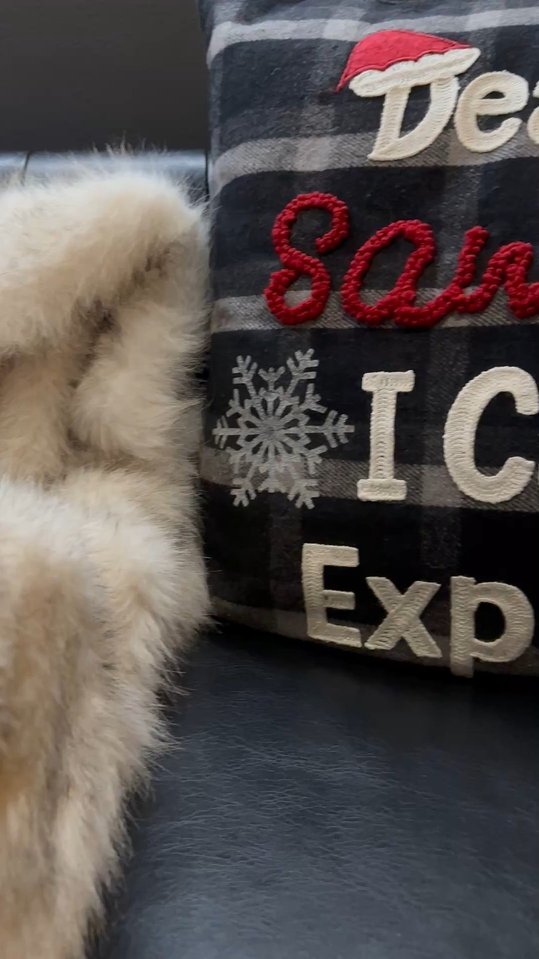 Dear Santa I can explain…….

#LTKGiftGuide #LTKHome #LTKHoliday