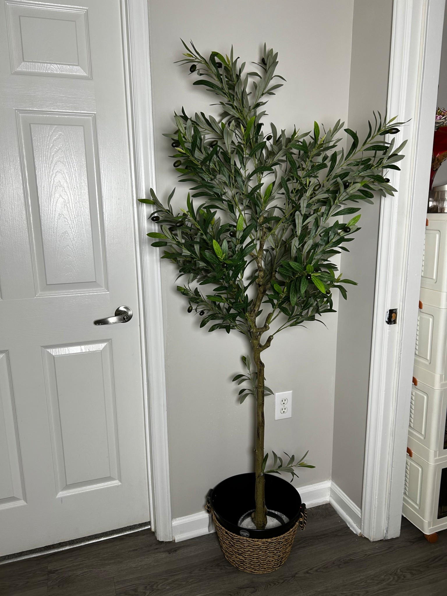 This olive tree makes the perfect addition to that empty corner space 

#LTKSaleAlert #LTKHome