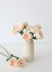 Artificial English Cabbage Rose in Pastel Peach Pink - 20.5" Tall | Afloral (US)