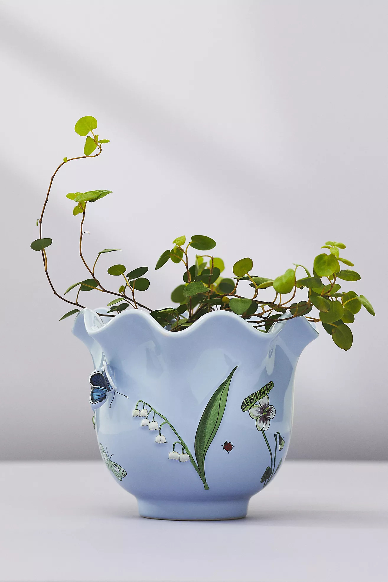 Faye Planter | Anthropologie (US)