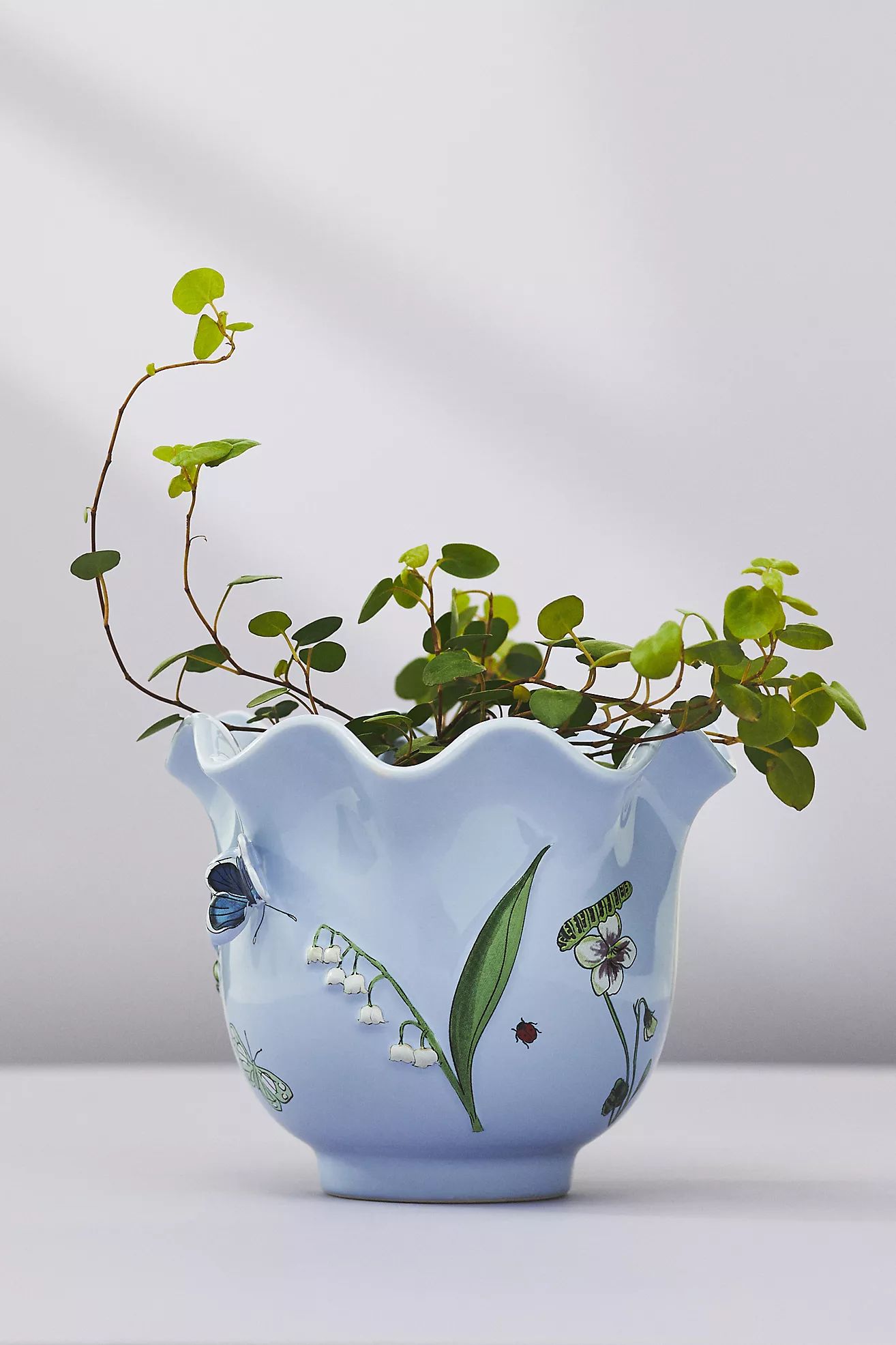 Faye Planter | Anthropologie (US)