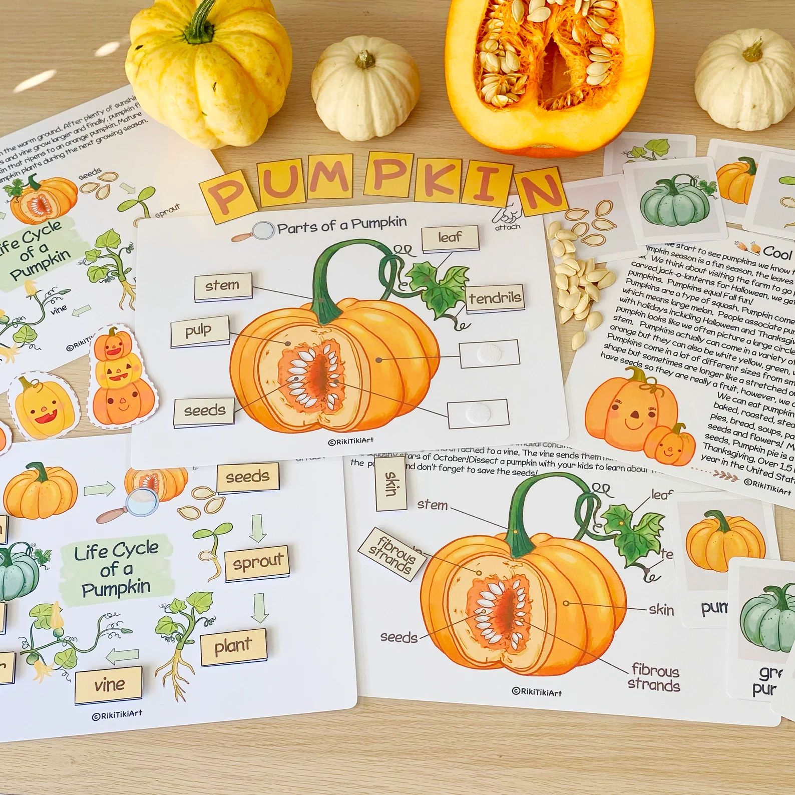 Pumpkin Unit Study Homeschool Learning Materials Charlotte - Etsy | Etsy (US)
