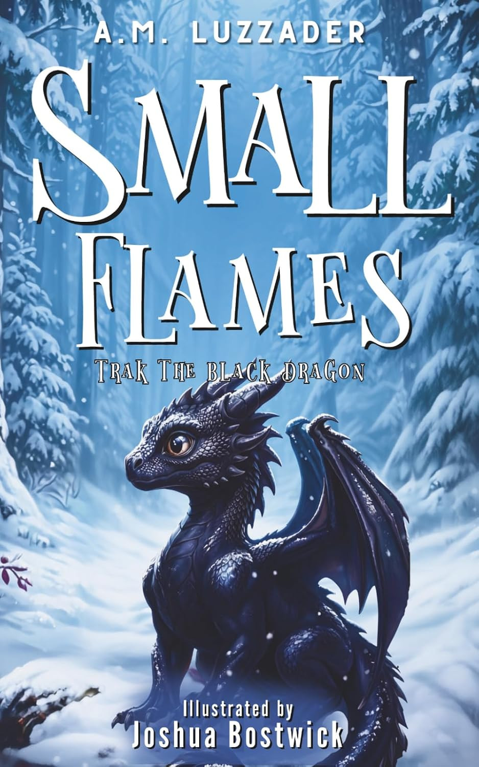 Small Flames: Trak the Black Dragon | Amazon (US)