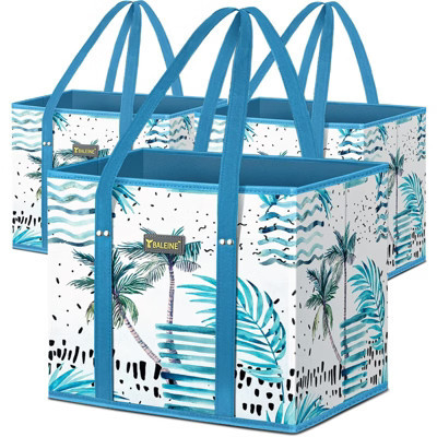 HOMLUX 3Pk Reusable Grocery Food Storage Bags Foldable, Reinforced Bottom, Long Handles, Island Breeze | Target