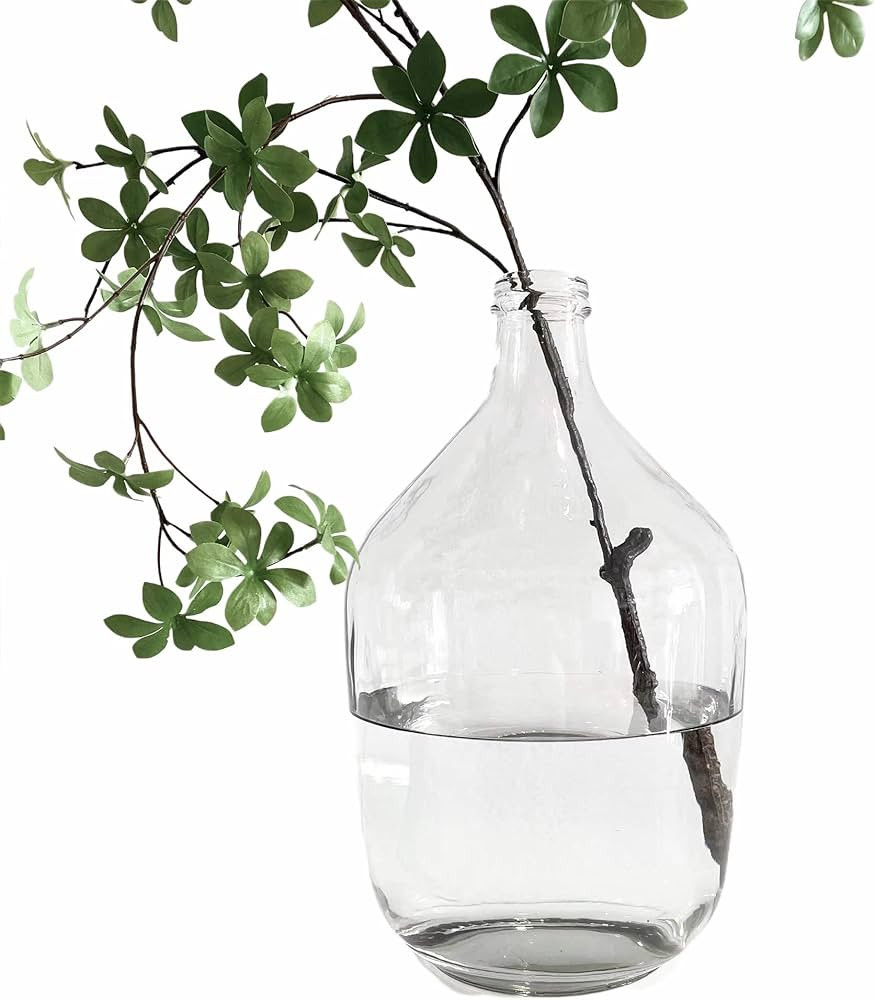 BUICCE Large Clear Glass Jug Vase Round Flower Floor Vase for Centerpieces Decor | Amazon (US)