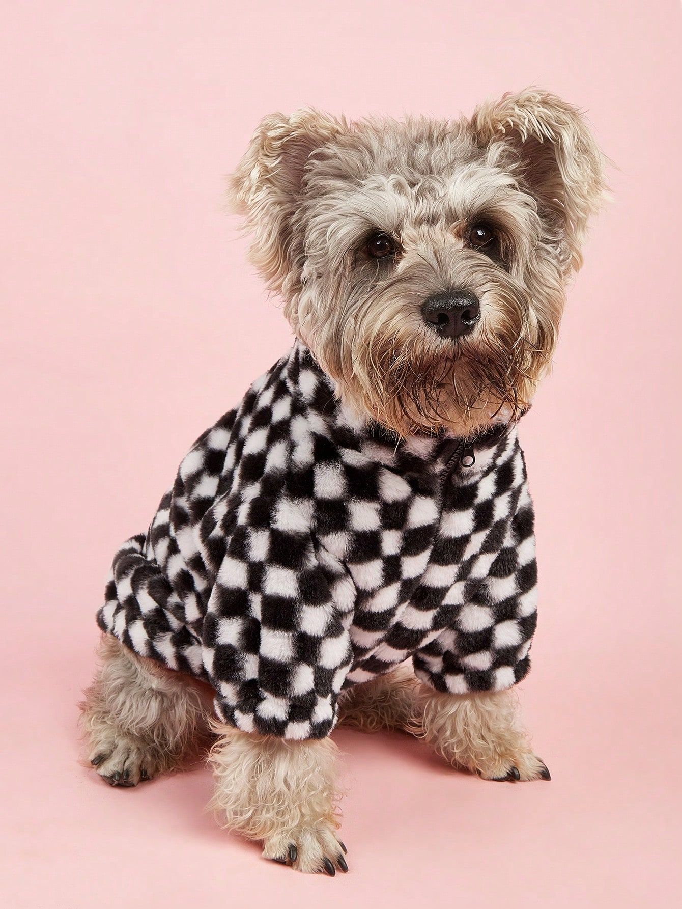 1pc Checker Pattern Pet Coat For Cat And Dog, Suitable For Autumn And Winter | SHEIN