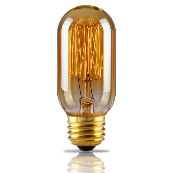 HHTBT45-8P40W25-SQU 40 Watt Incandescent Dimmable Light Bulb, (2500K) E26/Medium (Standard) Base ... | Wayfair North America