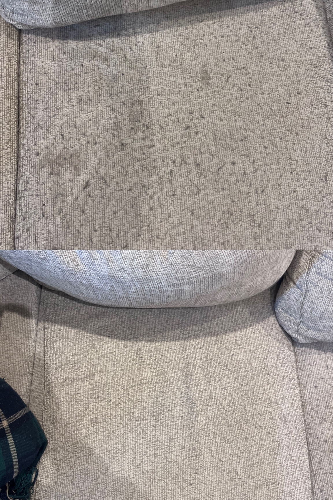 Before and after of my couch using the magic Amazon fabric shaver! It removed most of the pilling and it’s so cheap! Amazon finds, Amazon home, living room, lint shaver 

#LTKSaleAlert #LTKHome #LTKxPrimeDay