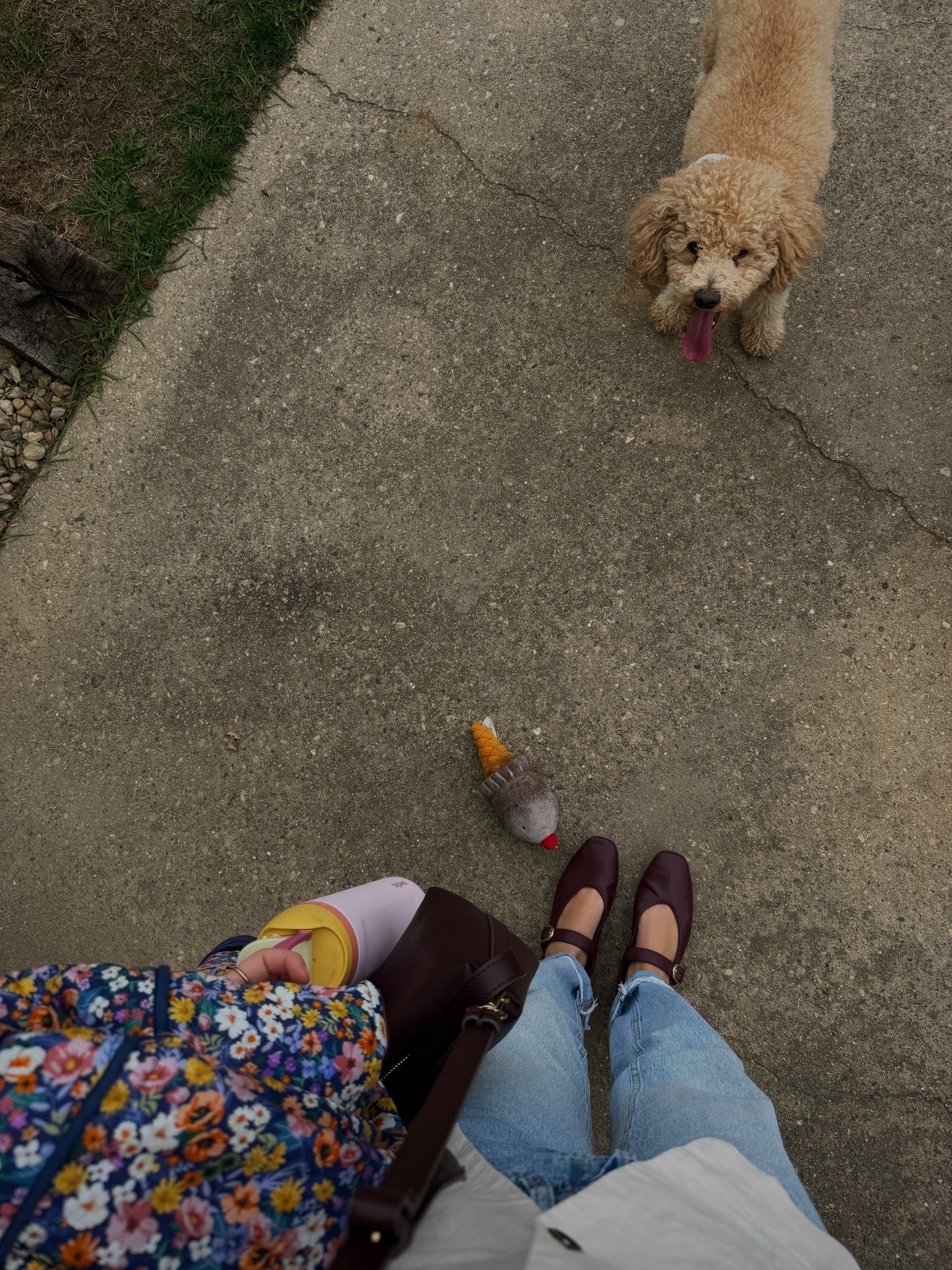 office vibes 🌸🍠🌤️🩰🍇🎀

Small in button up vest (from Tj Maxx, linking some similar options)
4 in Target jeans
27 in Curve Love 90s Relaxed Jeans from Abercrombie
9 in trending Mary Jane flats from Old Navy — ON SALE
👜 purse is from Old Navy (matches the flats and is so cute/perfect for fall) — ON SALE

Old Navy finds, Old Navy shoes, trending shoes, fall footwear, fall ballet flats, Old Navy bags, Old Navy purses, Old Navy deals, Abercrombie denim, Abercrombie finds, Tj Maxx tops, Tj Maxx finds, Tj Maxx fashion, spring outfits, office outfits, outfit of the day, trending Mary Jane flats

#LTKootd #LTKdayinmylife #LTKSeasonal