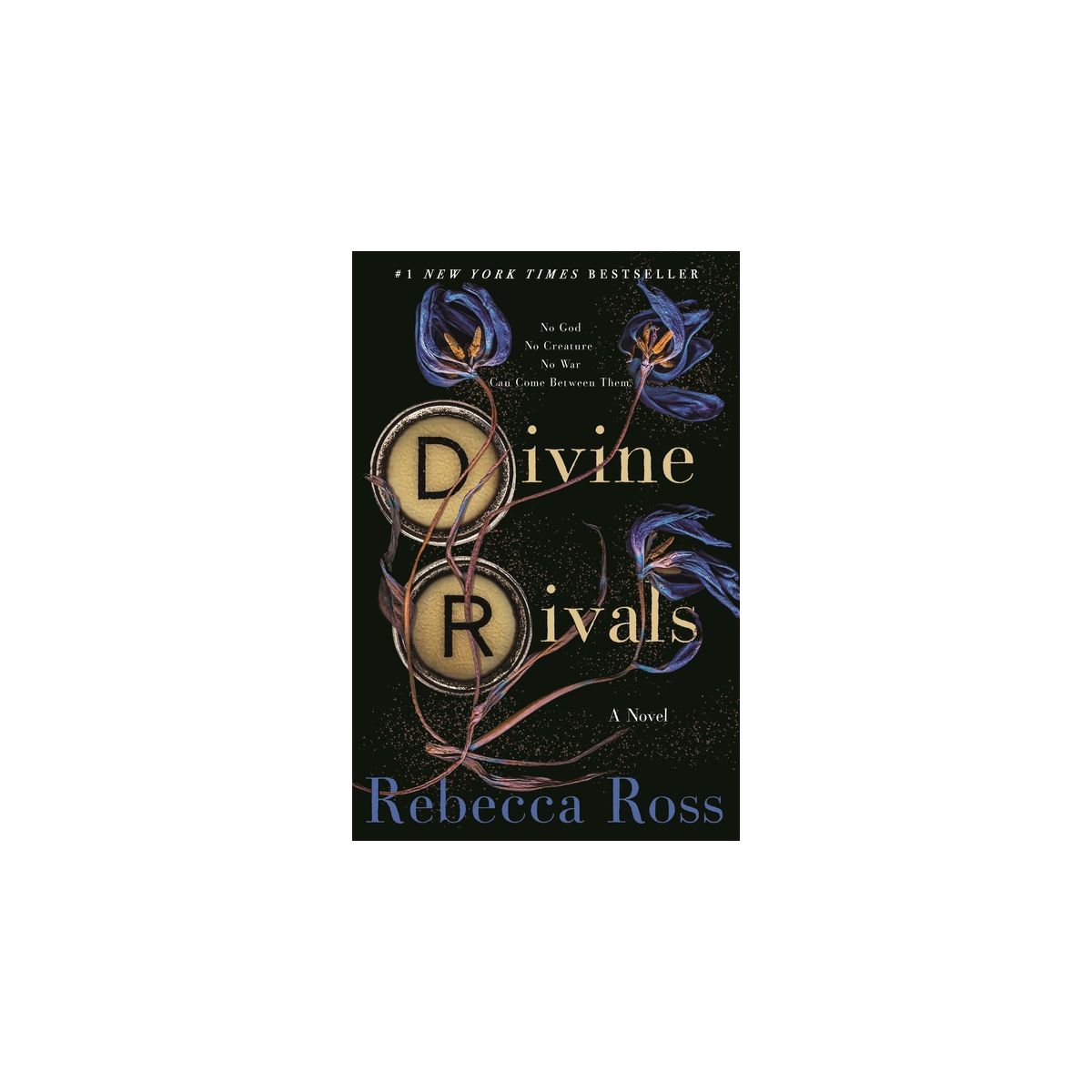 Divine Rivals - (Letters of Enchantment) by  Rebecca Ross (Hardcover) | Target