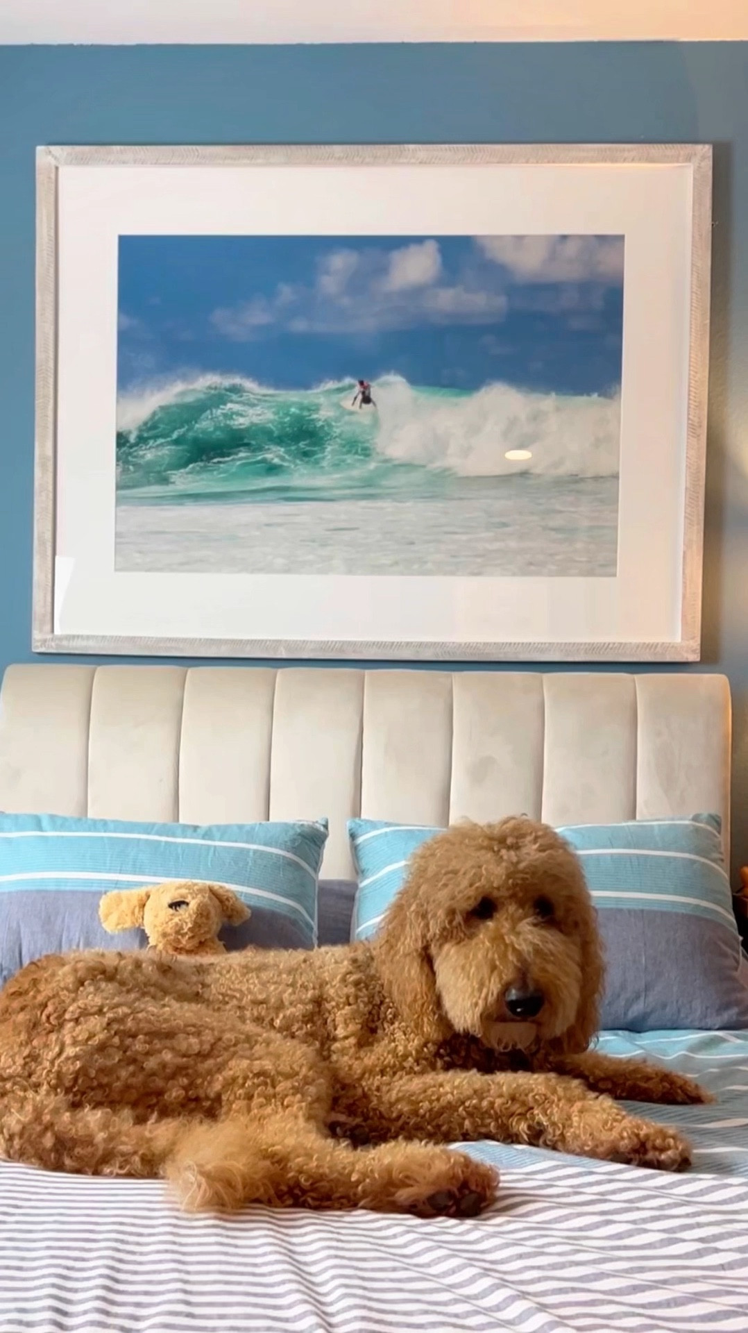 My sons new bedroom 

#LTKFamily #LTKKids #LTKHome