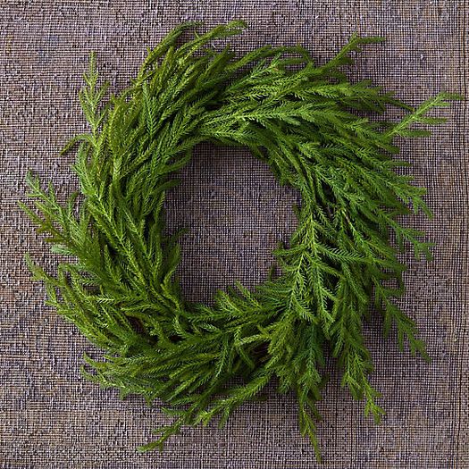 Faux Cryptomeria Wreath | Terrain