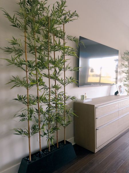 Tall 96 “ Bamboo Plants for bedroom 

#LTKU #LTKSeasonal #LTKhome