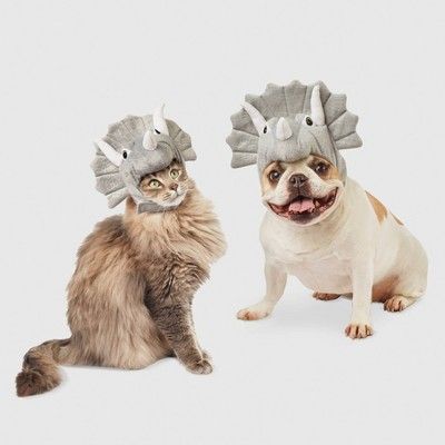 Triceratops Dog and Cat Costume - Hyde & EEK! Boutique™ | Target