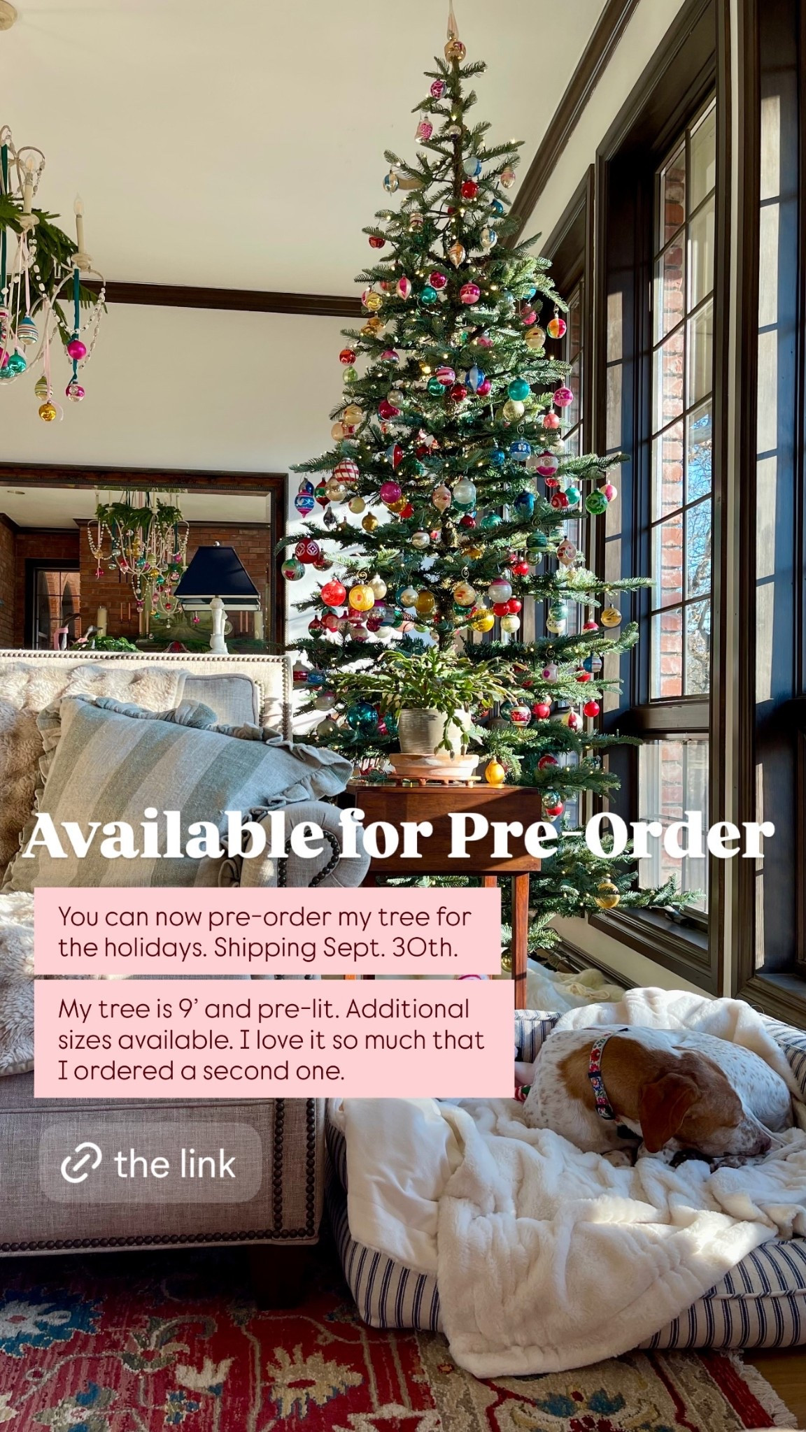 Available for Pre-Order You can now pre-order my Christmas tree for the holidays. Shipping Sept. 30th.

My tree is 9’ and pre-lit. Additional sizes available. I love it so much that I ordered a second one.

#LTKSeasonal #LTKHome