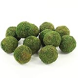 Koyal 12-Pack Green Moss Balls, 4-Inch | Amazon (US)