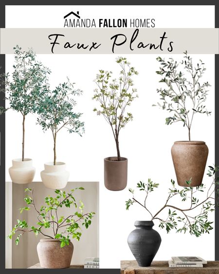 Gorgeous faux plants and faux trees from #WestElm to refresh any space! 😍

Bursera plant. Olive tree. Tall tree. Fake tree. Faux greenery. Olive stem. Tall stem. Faux stem. West Elm.

#LTKhome #LTKSeasonal #LTKFind