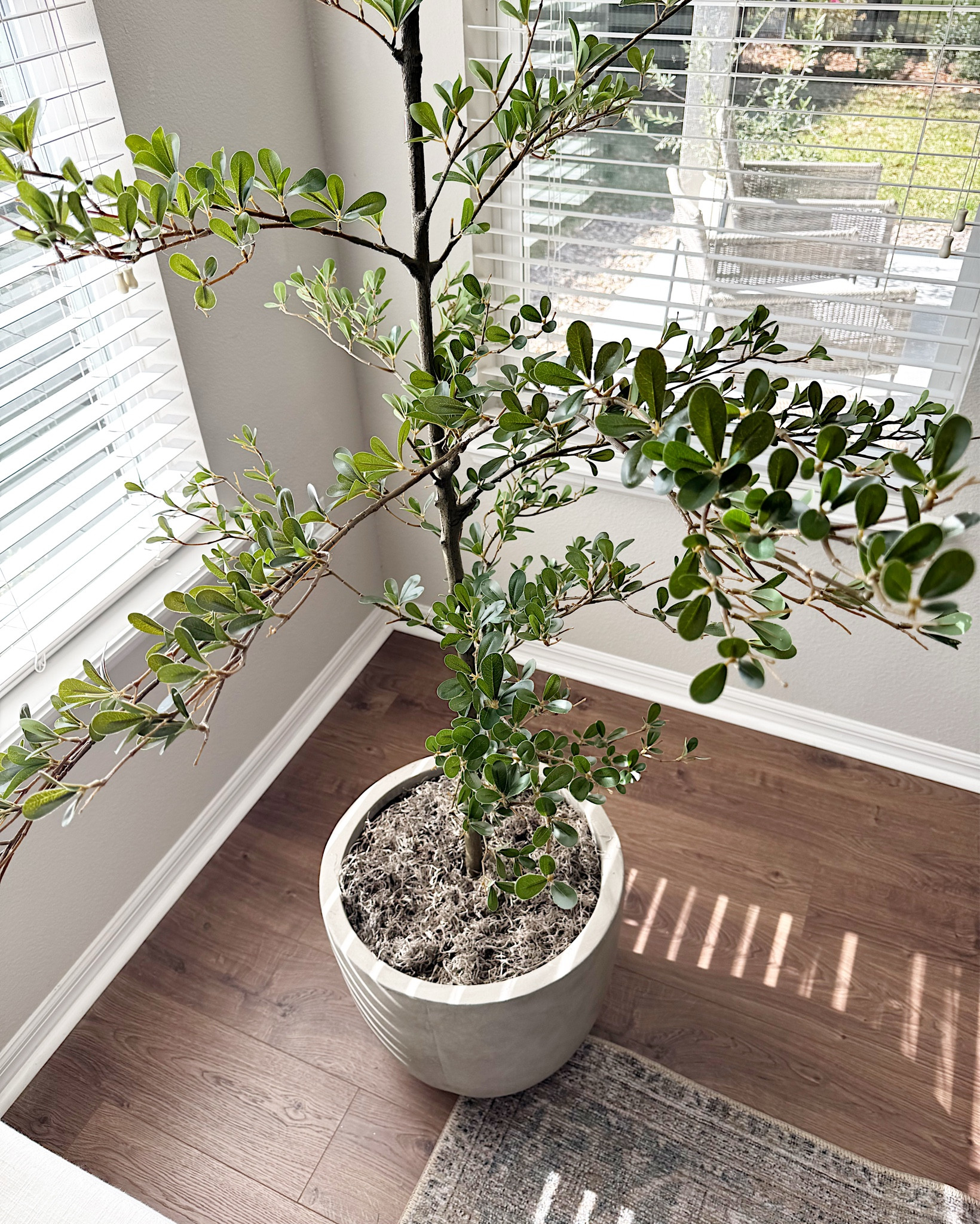 Home items I’d rebuy in 2026! These barstools that elevate any room, our living room rug, table lamps that look designer but are so affordable and so many more affordable home finds!

#LTKSaleAlert #LTKHome #LTKOver40