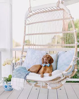 Double Hanging Rattan Chair | Serena and Lily