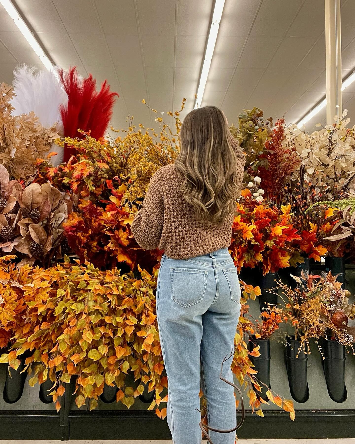 Sweater weather & denim season 🍂🪵🧸🍁

Sweater: @shoppinkblush  #prettyinpinkblush #shoppinkblush #pbambassador #ad #sponsored 
Denim: @hollister #hollisterpartner #hollisterstylehub #hollistercollective #gifted 

❁
•
❁
•
❁
Pinterest aesthetic, outfit inspo, Pinterest girl, fall vibes, fall outfit, fall sweater, sweater weather, casual fall outfits, fall outfit inspo, fall fashion, fall 2024 fashion, fall aesthetic, easy outfit inspo, pink blush partner, HOLLISTER partner, mom jeans, fall sweater, brown sweater. 🤎

#fallstyle #falloutfitinspo #pinterestaesthetic #fallpinterestinspo #casualoutfitideas #fallootd #falloutfits #fallaesthetic #falltransitionoutfit #easyoutfit #momjeans #brownsweater