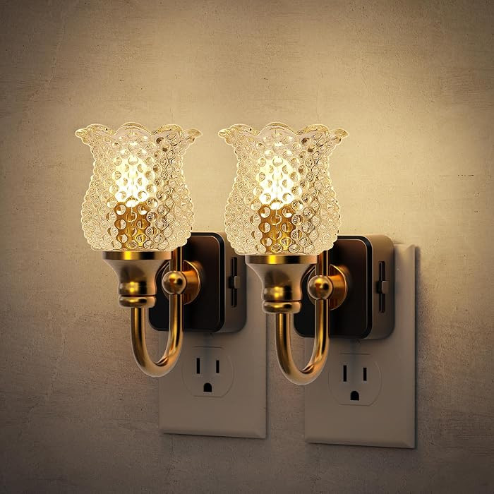 JandCase Night Light, 2 Pack Glass Night Lights Plug into Wall, Dimmble Floral LED Nightlight, 0-... | Amazon (US)