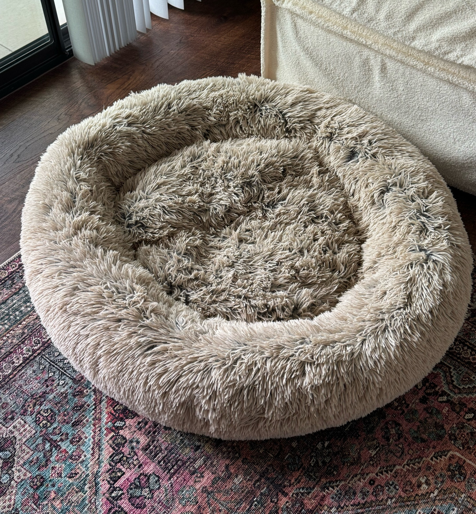 Bed my dog loves 🫶🏻
Home, pets, beds for dogs 

#LTKFindsUnder100 #LTKHome #LTKGiftGuide