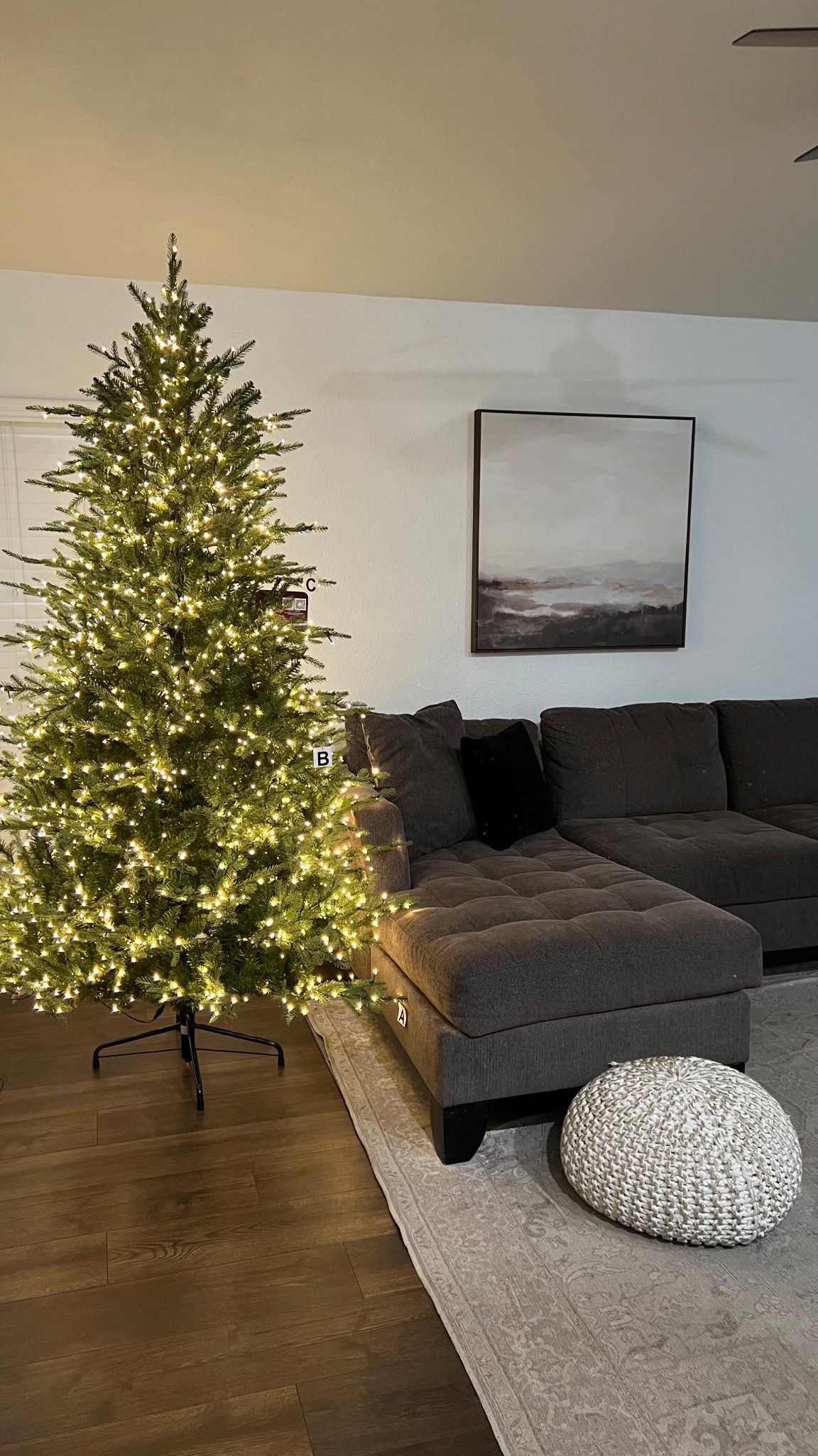 Bare twinkly Christmas tree

#LTKSeasonal #LTKHome #LTKHoliday