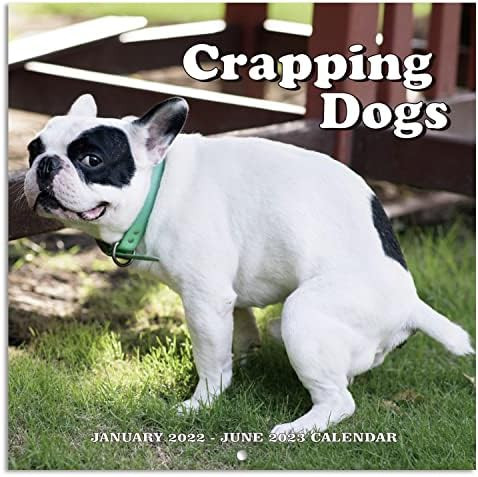 2022 Wall Calendar - Gag Gifts, White Elephant Gifts Funny, Pooping Dogs,Thick Paper, Best for Wh... | Amazon (US)