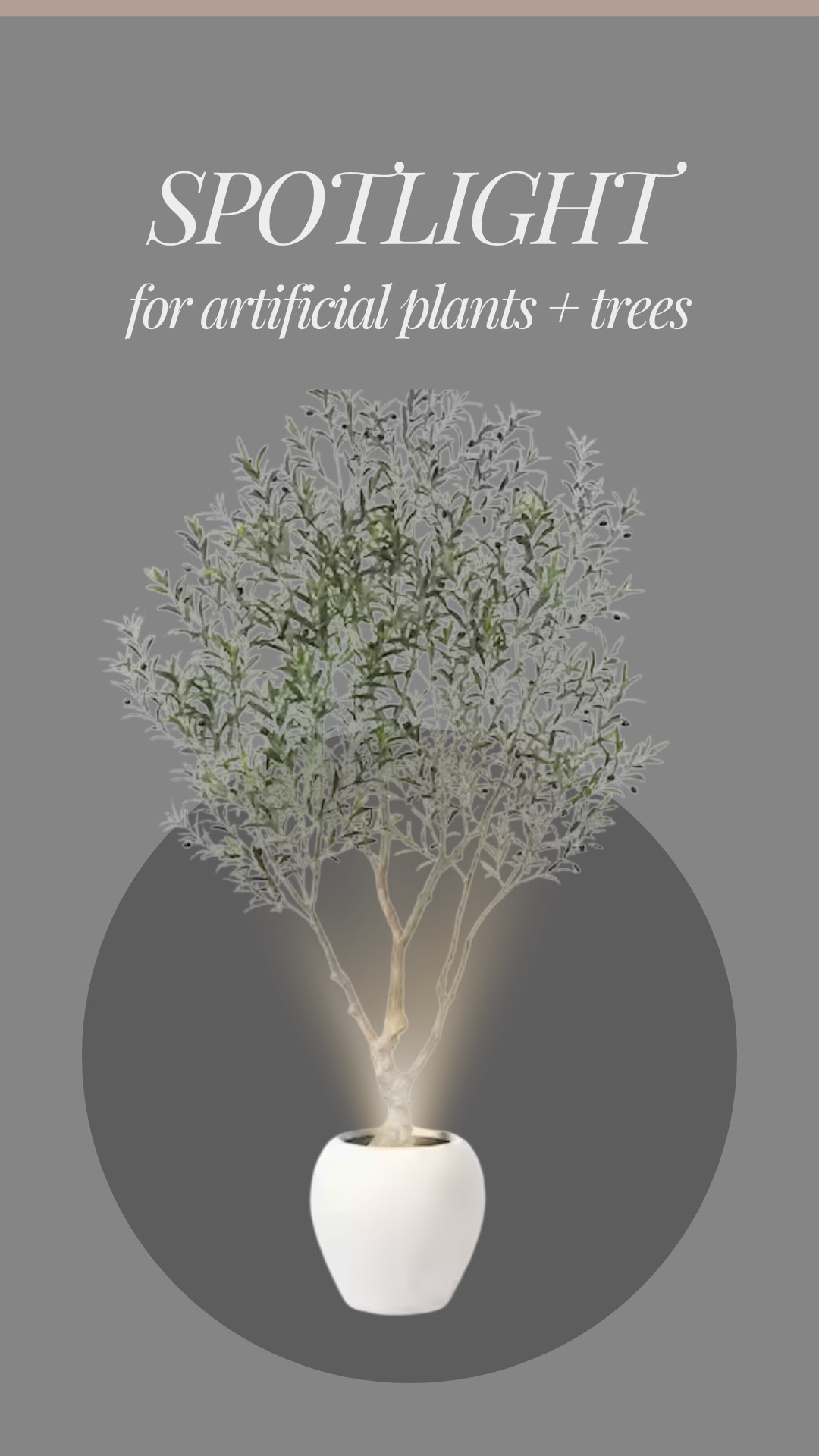 Okay full disclosure I definitely meant to grab nighttime video of these since that’s when they really *shine* (sorry, had to 😉)… buuuut I forgot. Even so, still had to share bc I love them! 😂They add such a beautiful glow and make the plants pop (especially at night 🤦🏻‍♀️). They could absolutely be used for other decor too! 

Comment shop for a link!
 
#interiordesignerlife #homedecorinspo #decorinspo #fakeplants #livingroomdecor