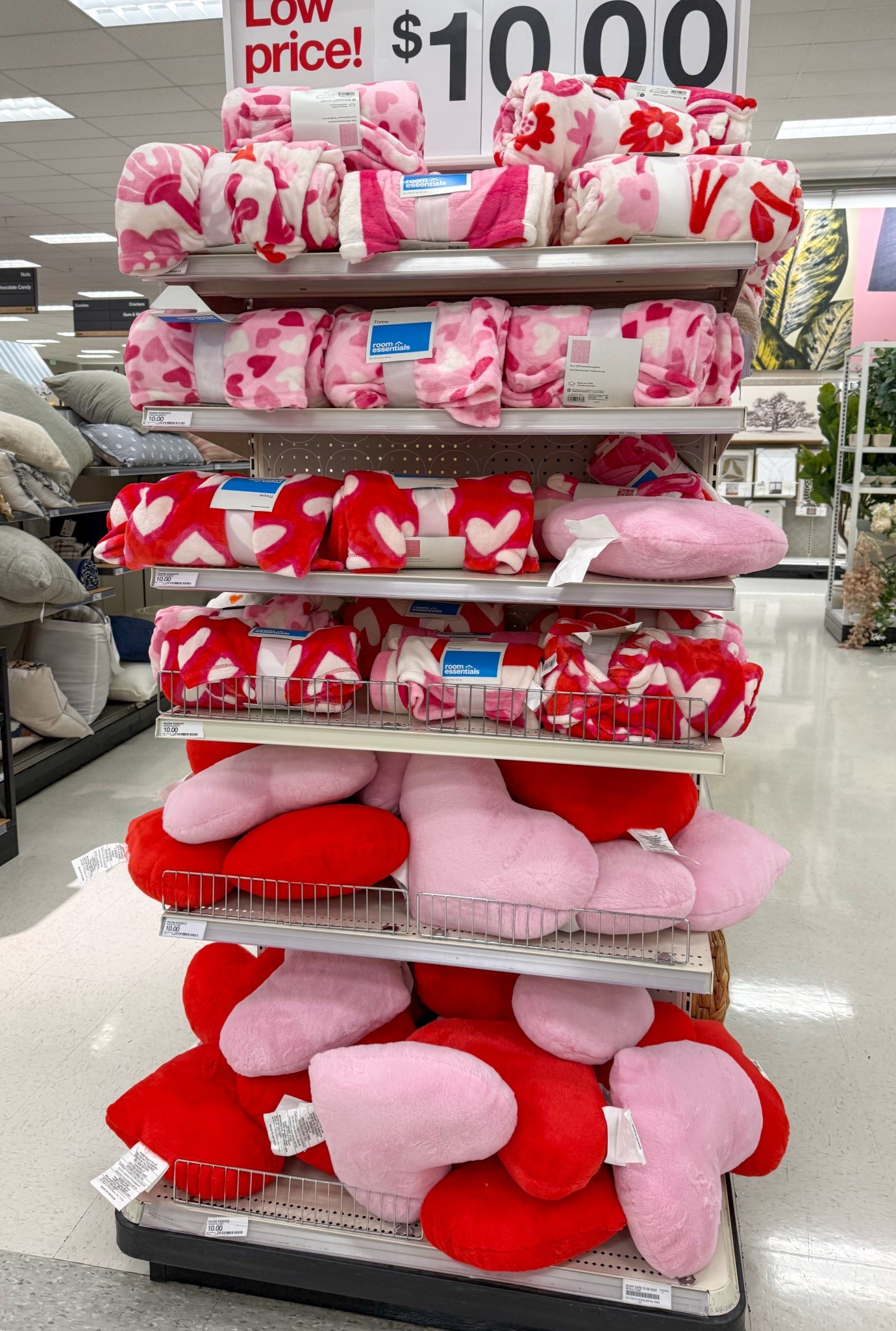 $10 throw blankets + pillows 

#LTKHome #LTKSeasonal #LTKFindsUnder50