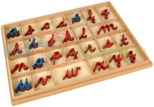 Amazon.com: Kid Advance Montessori Cursive Moveable Alphabets with Box : Toys & Games | Amazon (US)