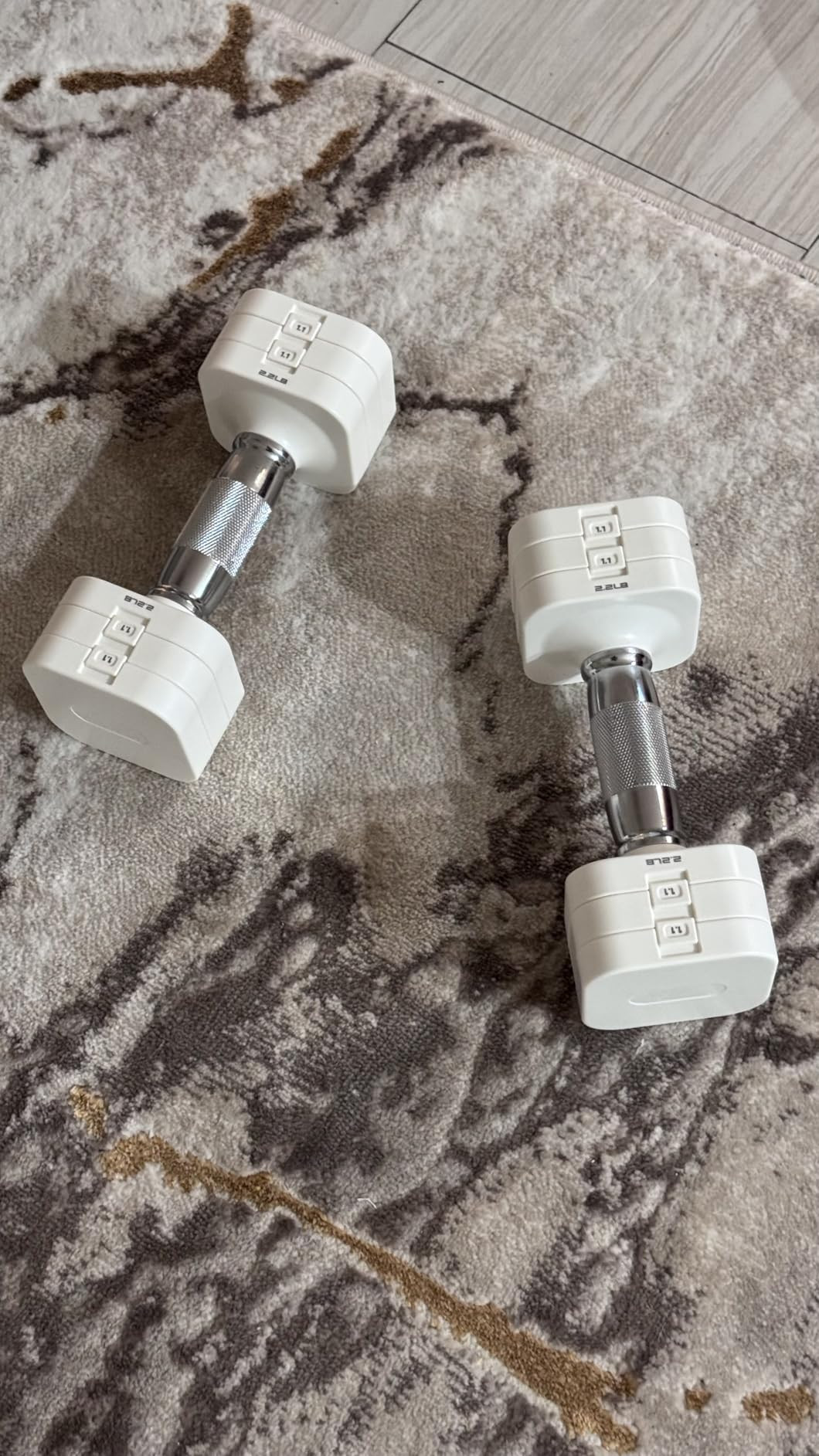 22LBS Adjustable Dumbbells Set, Adjustable Weight Dumbbells with 4 Levels 4.4lb, 6.6lb, 8.8lb, 11... | Amazon (US)