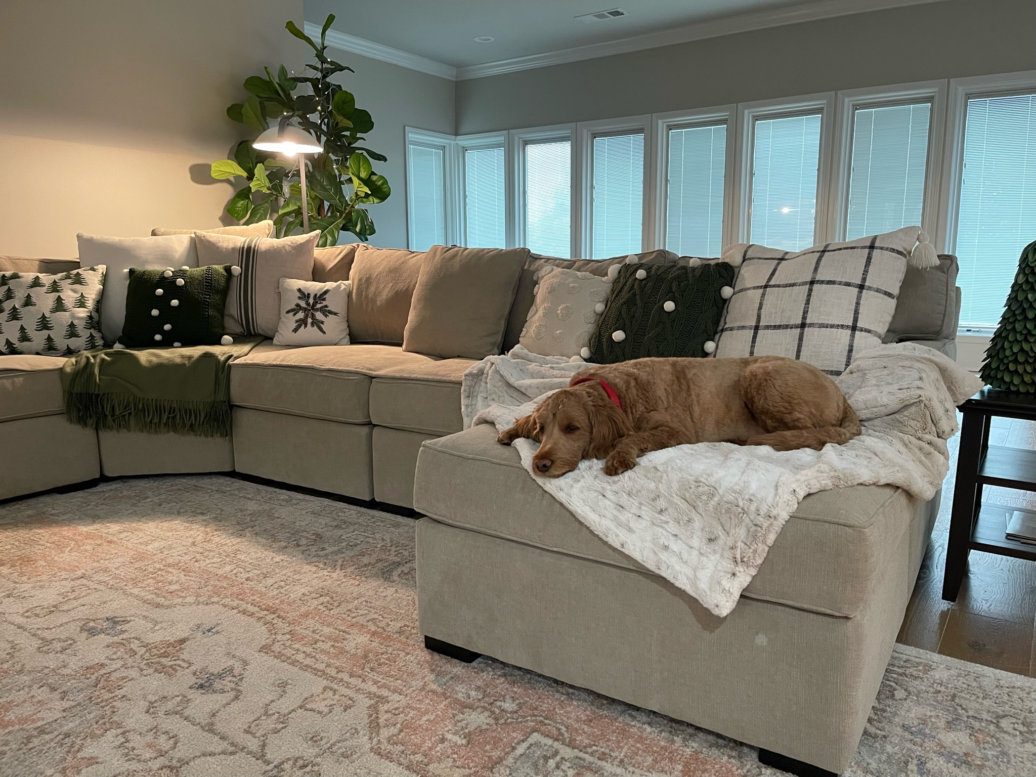 This Radley Sectional is on sale (47% Off) through Black Friday! My color is Heavenly Chrome and has 2 chaise and 2 rolling storage ottomans. We love ours! #LTK #macysfurniture

#LTKHoliday #LTKhome #LTKCyberweek