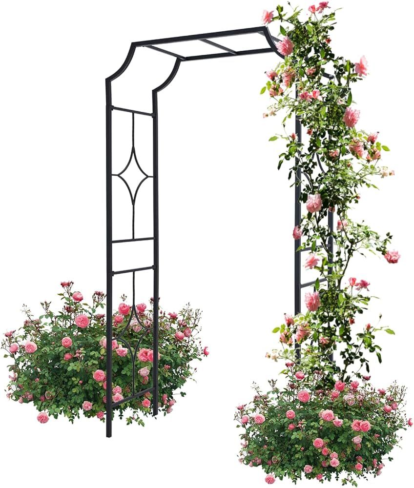 Erinnyees Garden Arches, Garden Arbors Outdoor Black Metal Arbor for Climbing Plants Vines Roses,... | Amazon (US)